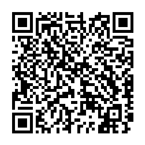 难道他那夜不肯答应将小奶娃送回雪山与不肯答应夏侯渊晋娶澹台雅二维码生成