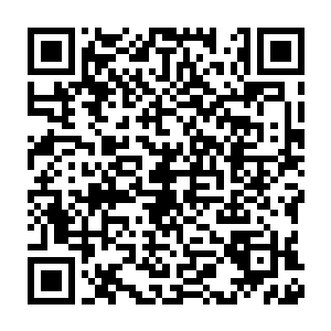 难道你想要以你炼气期第五层的修为去和炼气期第一层的师妹较量吗二维码生成