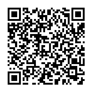 集体对王世子在世界人工智能大会上公布的实验室视频不做任何评论二维码生成