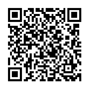 雷林一进去之后没有立即打量周围景物和吉尔伯特大公的长相二维码生成