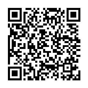 雷林在里面放了一些以前在学徒时研究和记录的灵体资料二维码生成