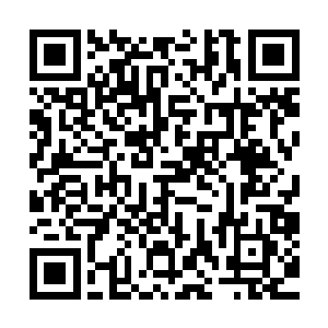 雷欧克斯无法理解小世界到底是通过什么样的手段分解灵石的二维码生成