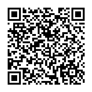 需要在以林氏家族为首的投资考察团到宋州考察之后才能得出结果二维码生成