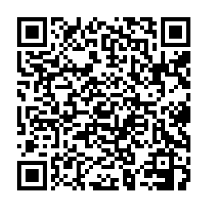 韩林可是知道韩风曾经轻易干掉了介乎于二级中期和二级后期之间的普通巨木怪二维码生成