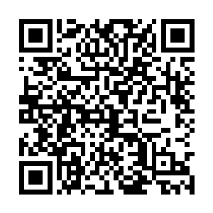 马上有一个穿了比基尼泳衣的小金毛过来说了一声二维码生成