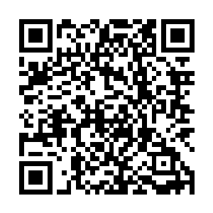 马克洛夫斯基指着树杈上被烧得黑乎乎的弹链和弹壳道二维码生成