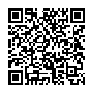 龙无风的声音此时此刻对丹药公会会长来说如同天籁之音二维码生成