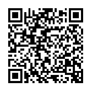 100%已收录雷文127651个完全解析112319个获得完整雷电增幅巫阵二维码生成