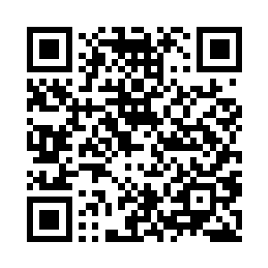 _―――――――――――――――――二维码生成