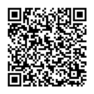 pha+44ca44ca45zoo5zga77ym6icb5p6x77ym5l2g5ouf5b+d5lua5lmi77ym5lih5lql5pyj5oir5zyo5zgi77yb4ocd552二维码生成