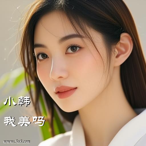 我美吗小韩搞笑图片