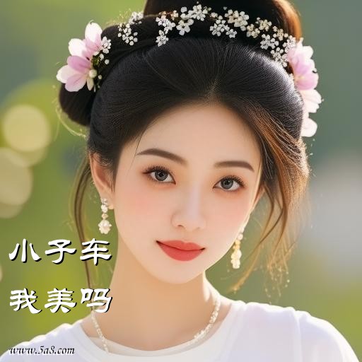 我美吗小子车搞笑图片