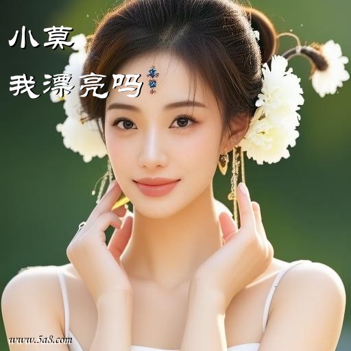 我漂亮吗小莫搞笑图片