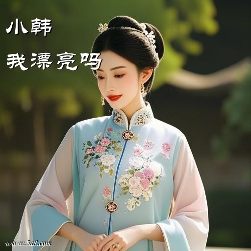 我漂亮吗小韩搞笑图片