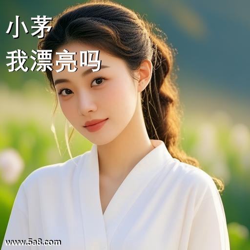 我漂亮吗小茅搞笑图片